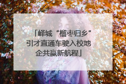 峄城“榴枣归乡”引才直通车驶入校地企共赢新航程