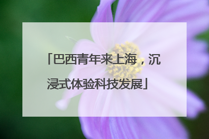 巴西青年来上海，沉浸式体验科技发展