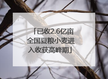 已收2.6亿亩 全国夏粮小麦进入收获高峰期