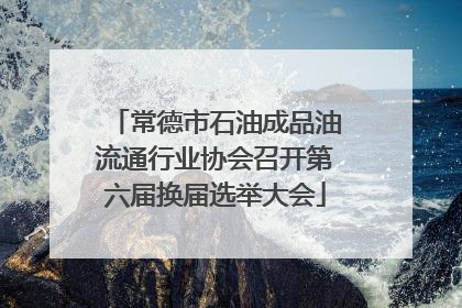 常德市石油成品油流通行业协会召开第六届换届选举大会