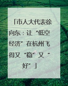 市人大代表徐向东：让“低空经济”在杭州飞得又“稳”又“好”