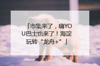 市集来了，嗨YOU巴士也来了！海淀玩转“龙舟+”