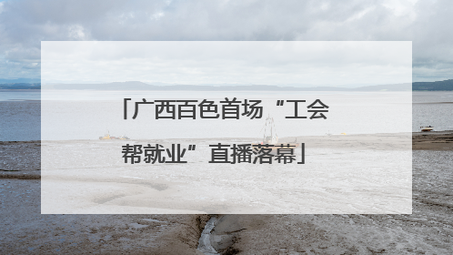 广西百色首场“工会帮就业”直播落幕