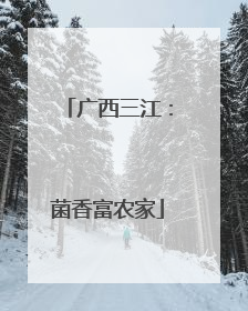 广西三江：菌香富农家