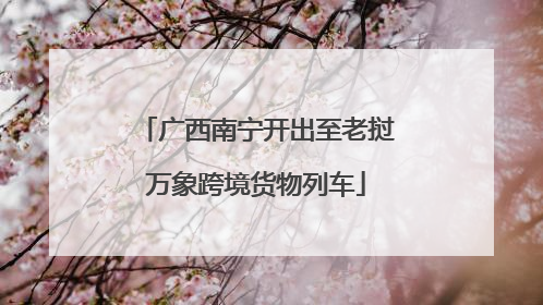 广西南宁开出至老挝万象跨境货物列车
