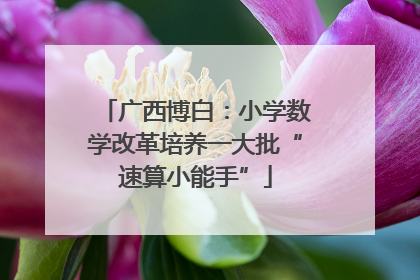 广西博白：小学数学改革培养一大批“速算小能手”