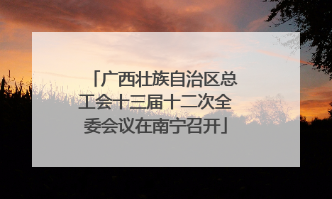 广西壮族自治区总工会十三届十二次全委会议在南宁召开