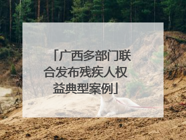 广西多部门联合发布残疾人权益典型案例