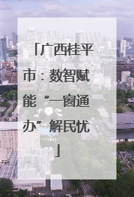 广西桂平市：数智赋能“一窗通办”解民忧