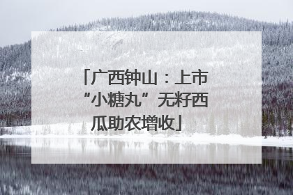 广西钟山：上市“小糖丸”无籽西瓜助农增收