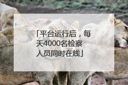 平台运行后，每天4000名检察人员同时在线