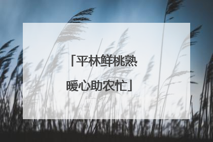 平林鲜桃熟 暖心助农忙