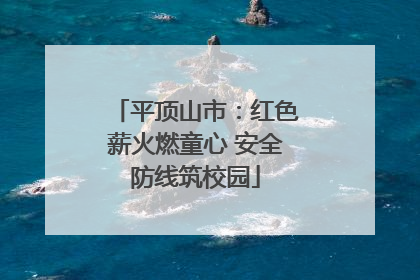 平顶山市：红色薪火燃童心 安全防线筑校园