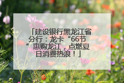 建设银行黑龙江省分行：龙卡“66节”惠购龙江，点燃夏日消费热浪！