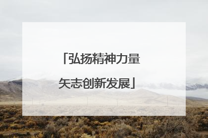 弘扬精神力量 矢志创新发展