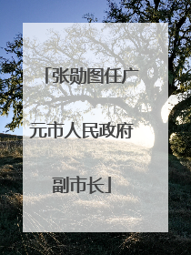 张勋图任广元市人民政府副市长