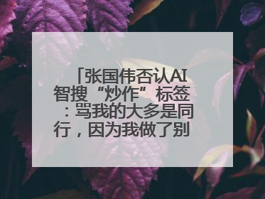 张国伟否认AI智搜“炒作”标签：骂我的大多是同行，因为我做了别人做不了的事