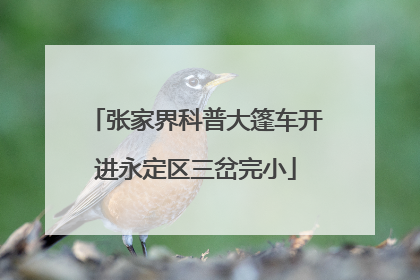 张家界科普大篷车开进永定区三岔完小