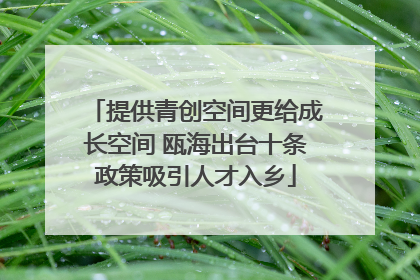 提供青创空间更给成长空间 瓯海出台十条政策吸引人才入乡