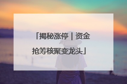 揭秘涨停｜资金抢筹核聚变龙头