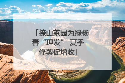 捺山茶园为绿杨春“理发” 夏季修剪促增收