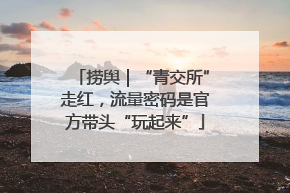 捞舆｜“青交所”走红，流量密码是官方带头“玩起来”