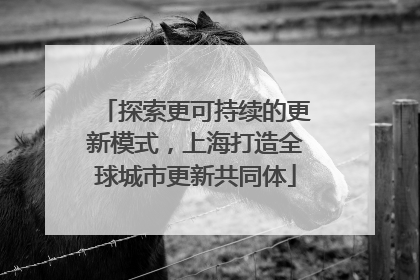 探索更可持续的更新模式，上海打造全球城市更新共同体