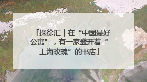 探徐汇｜在“中国最好公寓”，有一家盛开着“上海玫瑰”的书店