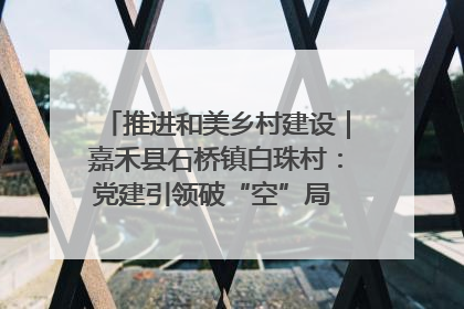 推进和美乡村建设｜嘉禾县石桥镇白珠村：党建引领破“空”局 乡贤聚力绘就新图景