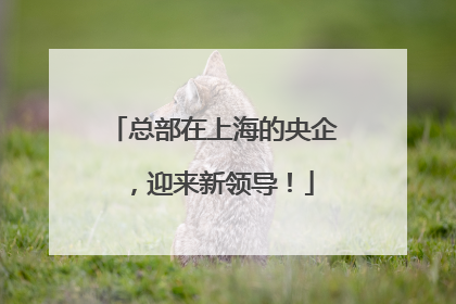 总部在上海的央企，迎来新领导！