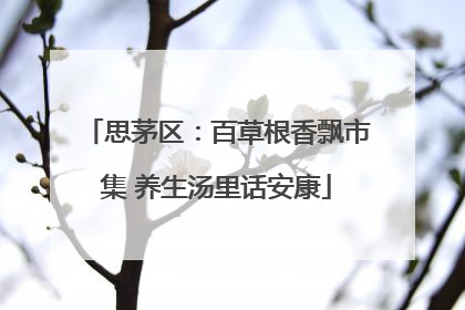 思茅区：百草根香飘市集 养生汤里话安康
