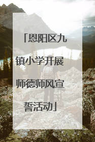 恩阳区九镇小学开展师德师风宣誓活动