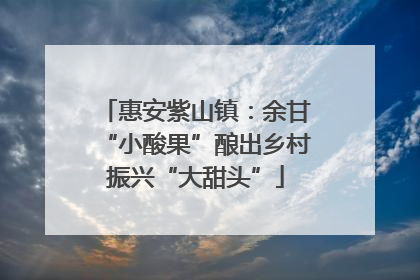 惠安紫山镇：余甘“小酸果”酿出乡村振兴“大甜头”