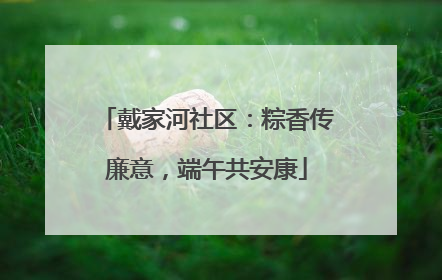 戴家河社区：粽香传廉意，端午共安康