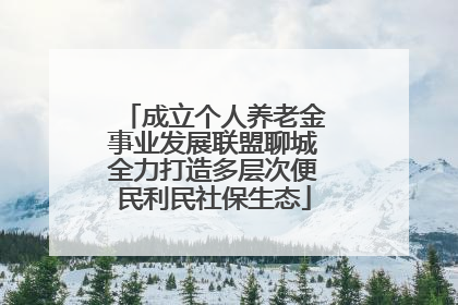 成立个人养老金事业发展联盟聊城全力打造多层次便民利民社保生态