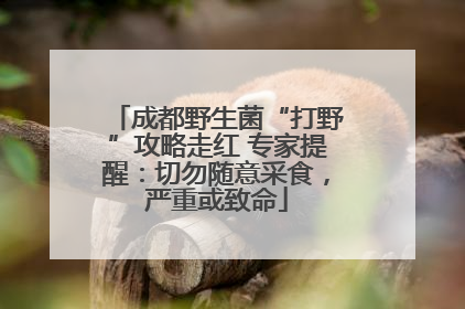 成都野生菌“打野”攻略走红 专家提醒：切勿随意采食，严重或致命