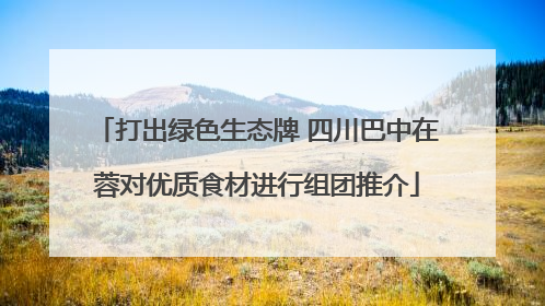打出绿色生态牌 四川巴中在蓉对优质食材进行组团推介