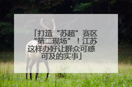 打造“苏超”赛区“第二现场”！江苏这样办好让群众可感可及的实事
