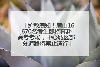 扩散周知！眉山16670名考生即将奔赴高考考场，中心城区部分道路将禁止通行
