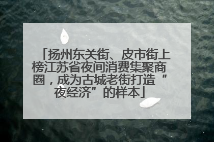 扬州东关街、皮市街上榜江苏省夜间消费集聚商圈，成为古城老街打造“夜经济”的样本