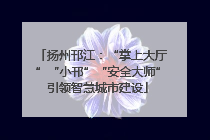 扬州邗江：“掌上大厅”“小邗”“安全大师”引领智慧城市建设
