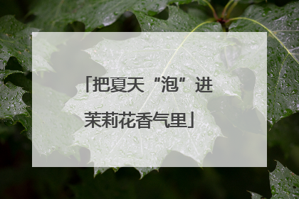 把夏天“泡”进茉莉花香气里
