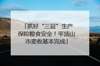 抓好“三夏”生产 保障粮食安全！平顶山市麦收基本完成