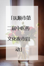 抚顺市第二届中医药文化夜市启动