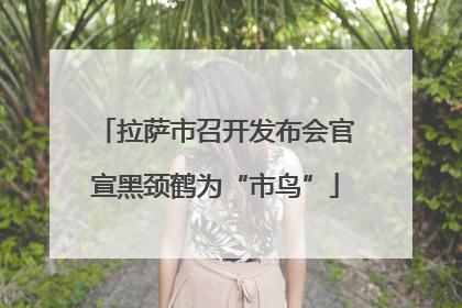 拉萨市召开发布会官宣黑颈鹤为“市鸟”