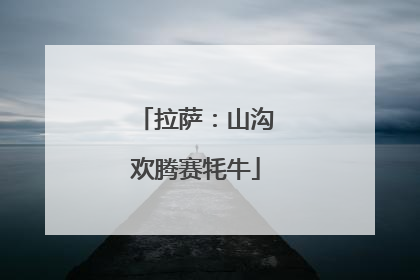 拉萨：山沟欢腾赛牦牛