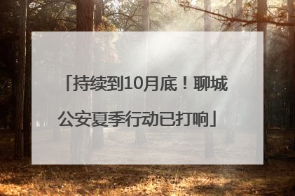 持续到10月底！聊城公安夏季行动已打响