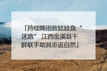 持续降雨致娃娃鱼“迷路” 江西金溪县干群联手助其重返自然