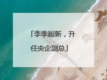 李季履新，升任央企副总