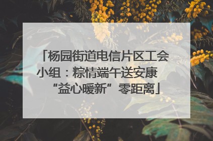 杨园街道电信片区工会小组：粽情端午送安康 “益心暖新”零距离